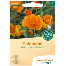Goldmohn - Eschscholtzia californica