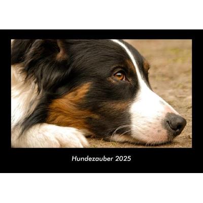 Hundezauber 2025 Fotokalender DIN A3