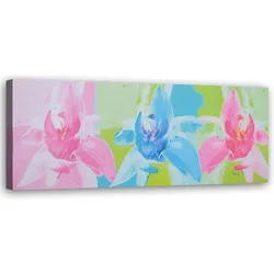 WANDBILD farbige gartenblumen