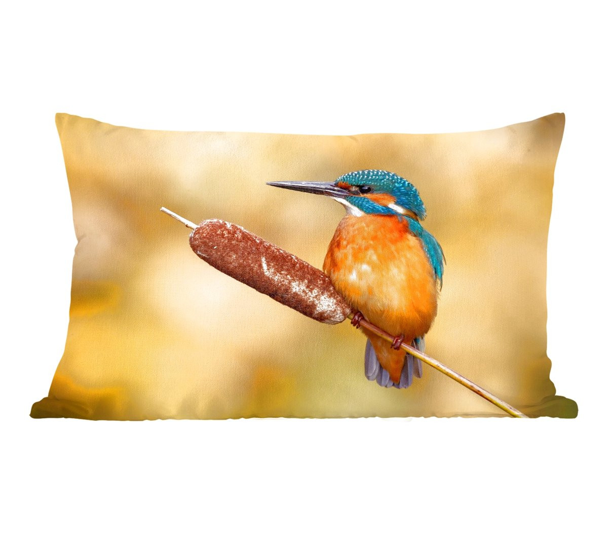 PillowMonkey Sierenkussen IJsvogel Natuur B/D: 60 x 40 cm
