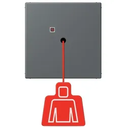 Jung Notrufsystem Zugtaster NRS LC 0834 ZT 202
