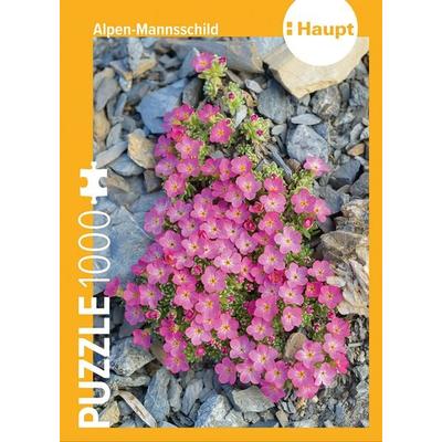 Alpen-Mannsschild – Puzzle