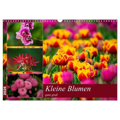 Kleine Blumen ganz groß (Wandkalender 2026 DIN A3 quer), CALVENDO Monatskalender