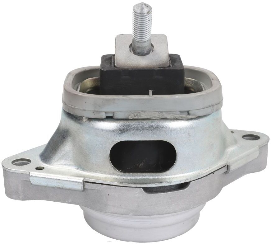 Reinhoch Supporto motore RH11-5102