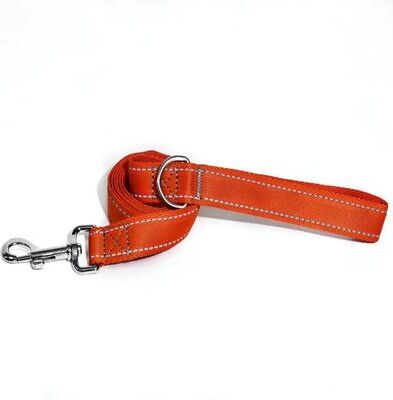 Inspire Select Reflective Nylon Dog Leash 5ft Heavy Duty Walking Lead With 360 Swivel Clasp, Comfort Handle & Night Safety Design orange s