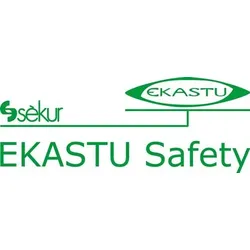 EKASTU Schweißerbrille CARINA KLEIN DESIGN 12799 EN 166 1-FT, EN 169, EN 171 - 277399