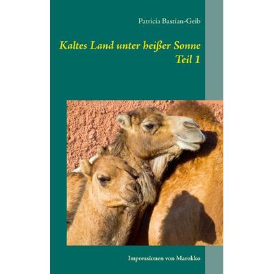 Kaltes Land unter heißer Sonne (Teil 1), Taschenbuch von Patricia Bastian-Geib, BoD – Books on Demand, 978-3-7347-4632-1