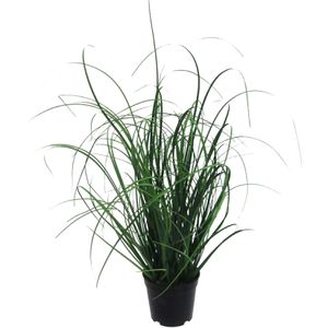 Creativ-green Kunstpflanze Grasbusch, im Topf, Höhe 50 cm, 2 Stück