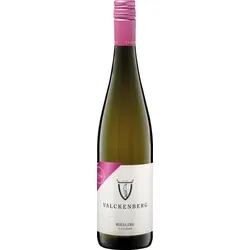 Riesling trocken P.J. Valckenberg 2025