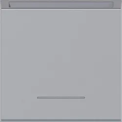 Hager WAF1020TA Zentralstück f. Hotelcardtaster, kl. Linse, A.x/C.x, titan metallisch la