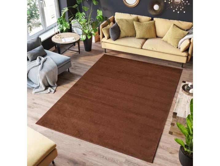 TAPISO Tapis Salon Poil Court FLORIDA Marron Monochrome Polypropylène Intérieur 140x190 cm