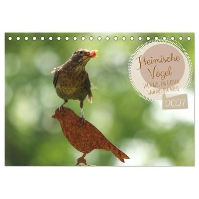 Heimische Vögel - Im Wald, im Garten und auf der Wiese (Tischkalender 2027 DIN A5 quer), CALVENDO Monatskalender