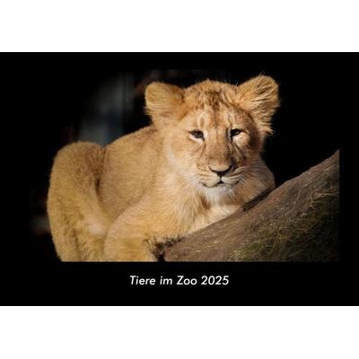 Tiere im Zoo 2025 Fotokalender DIN A3