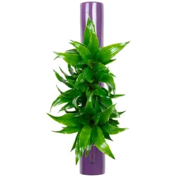 Flowerbox Tube - violett - 40x6,5 cm
