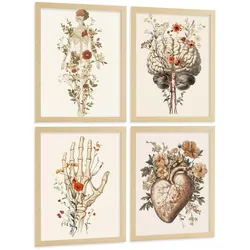 POSTER Set aus 4 Anatomie Mensch Dekorative Drucke und Wandbilder mit Blumen Ganzkörper Gehirn Hand und Herz Stil Wanddekoration Größe Rahmenlos A4