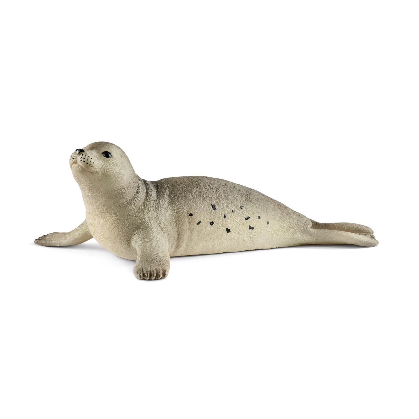 Schleich Wild Life Zeehond 14801