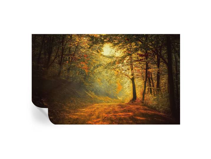 Wallfluent Fototapete 416x254 cm - Herbstlandschaft, Gelb, 416x254 cm, Tapeten & Wandverkleidungen, Fototapeten