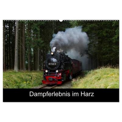 Dampferlebnis im Harz (Wandkalender 2027 DIN A2 quer), CALVENDO Monatskalender