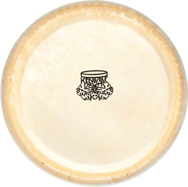 Thomann "7" Bongo kangaroo head"