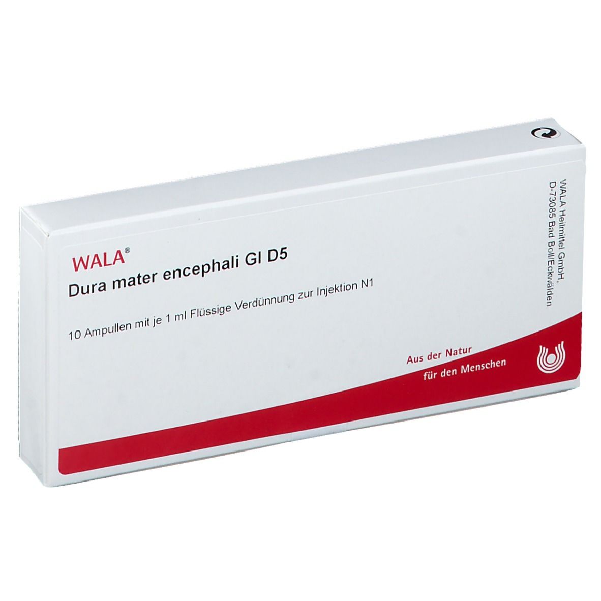 Dura Mater encephali GL D 5 Ampullen 10x1 ml