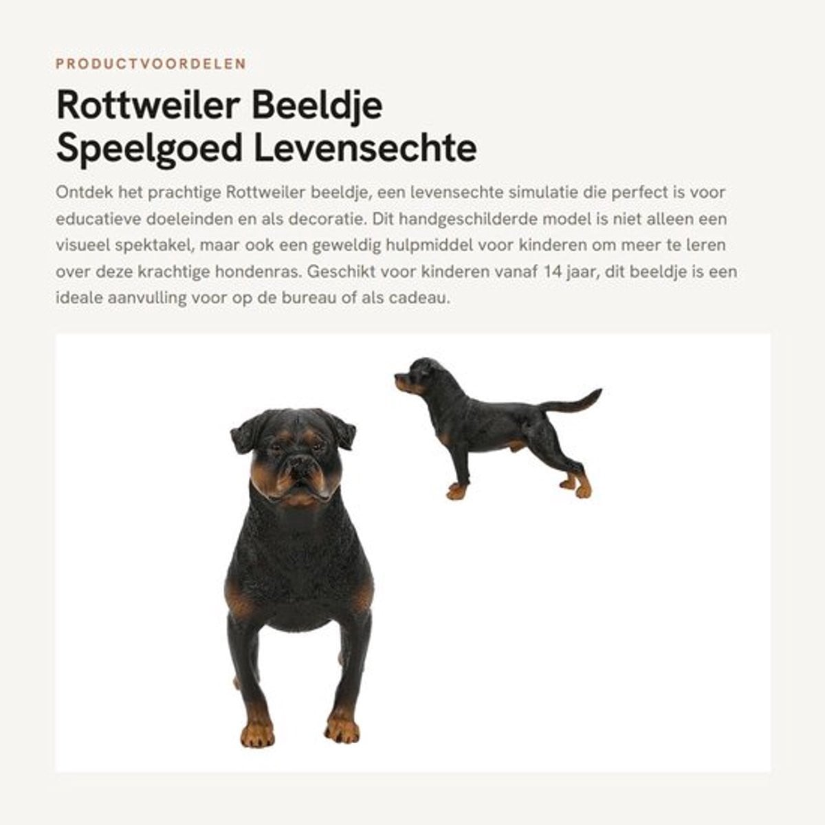Handgeschilderd Rottweiler Beeldje - Levensecht Dierenornament voor Decoratie