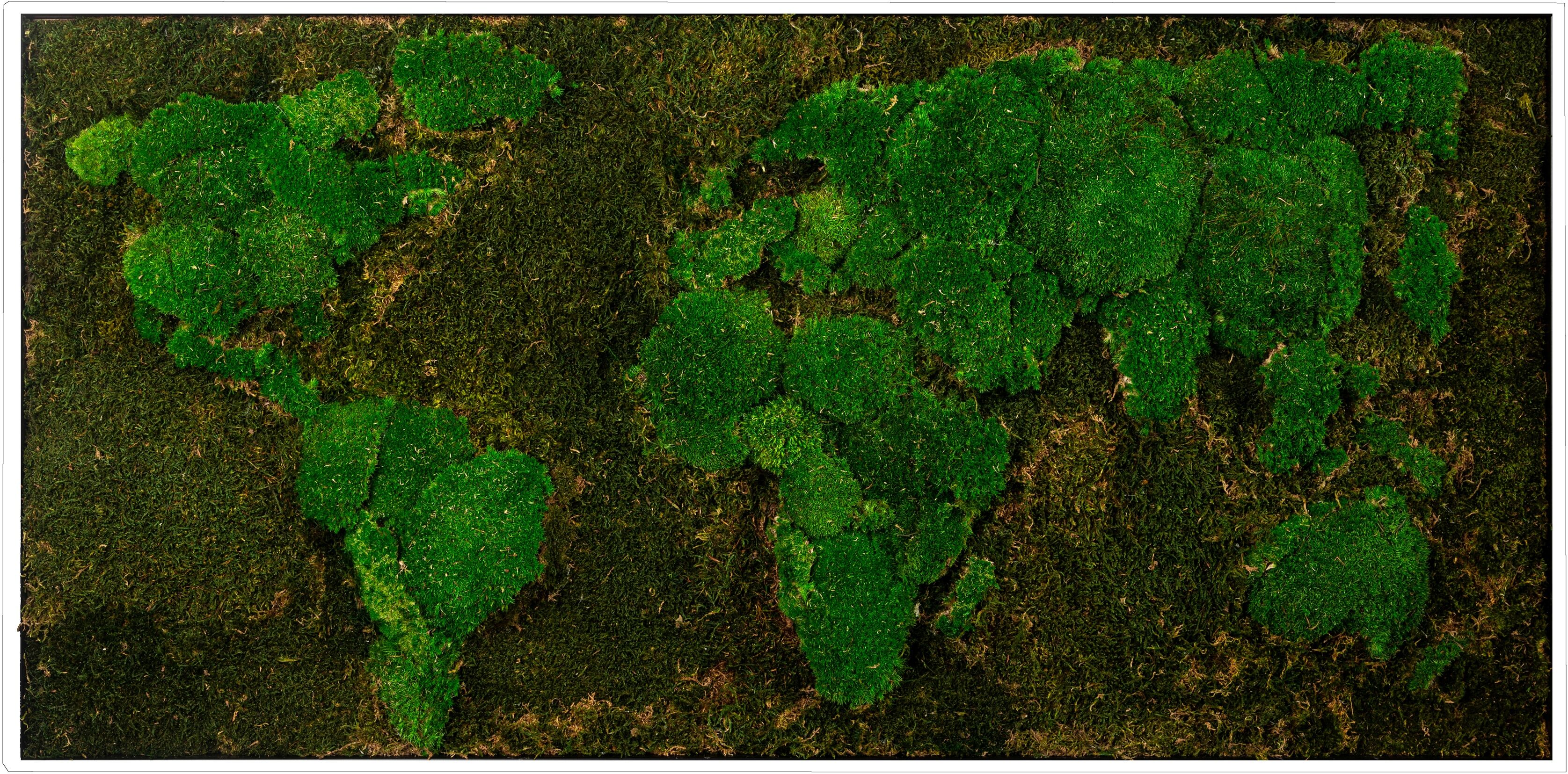Bild mit Rahmen BÖNNINGHOFF "Moosbild "Weltkarte" 60x120 cm, weisser Rahmen", grün (farbe rahmen: weiß, farbe bild(er): grün), B:120cm H:60cm T:5,5cm, Holzwerkstoff, Bilder, Bild mit Rahmen, handgefertigt, jedes Bild ein Unikat farbe rahmen: weiß, farbe b
