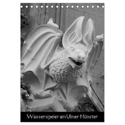 Wasserspeier am Ulmer Münster (Tischkalender 2027 DIN A5 hoch), CALVENDO Monatskalender