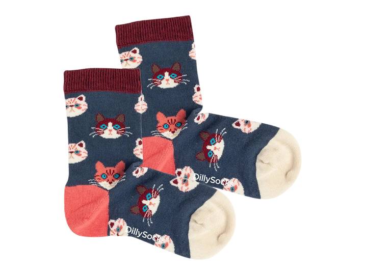 Kindersocken Sky Kitten, Dillysocks, orange/blau, BiobaumwolleBiobaumwolle/ElastanBiobaumwolle/Elastan/PolyacrylBiobaumwolle/Elastan/Polyacryl/Polyamid (PA)