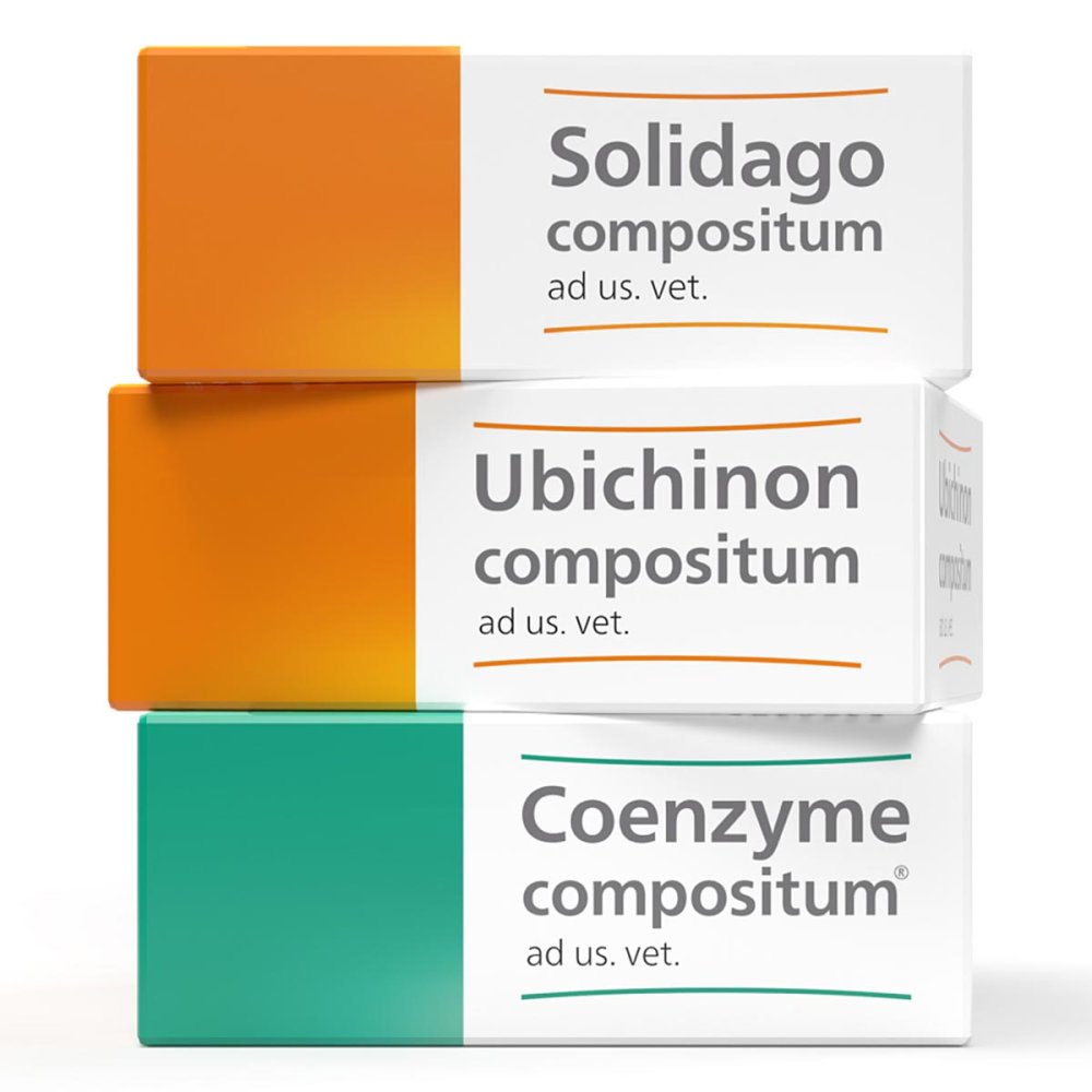 Biologische Heilmittel Heel GmbH Heel Vet SUC Bundle 08101827