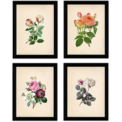 POSTER Set mit 4 Botanische Papier Hintergrund Rosen A3 Rahmenlos