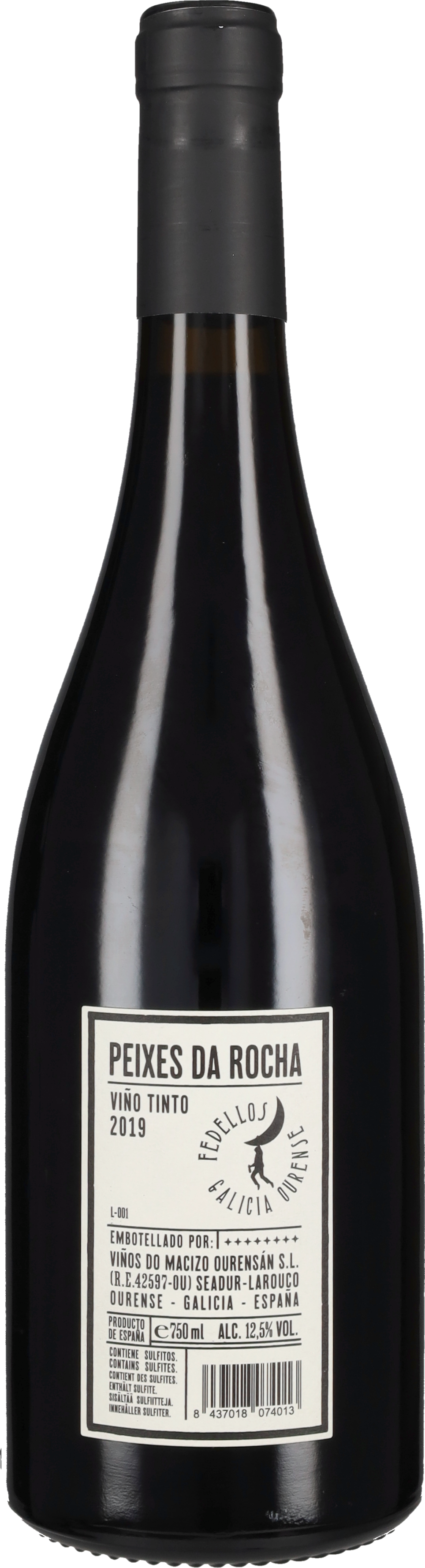 'Peixes da Rocha' Peixes 2019