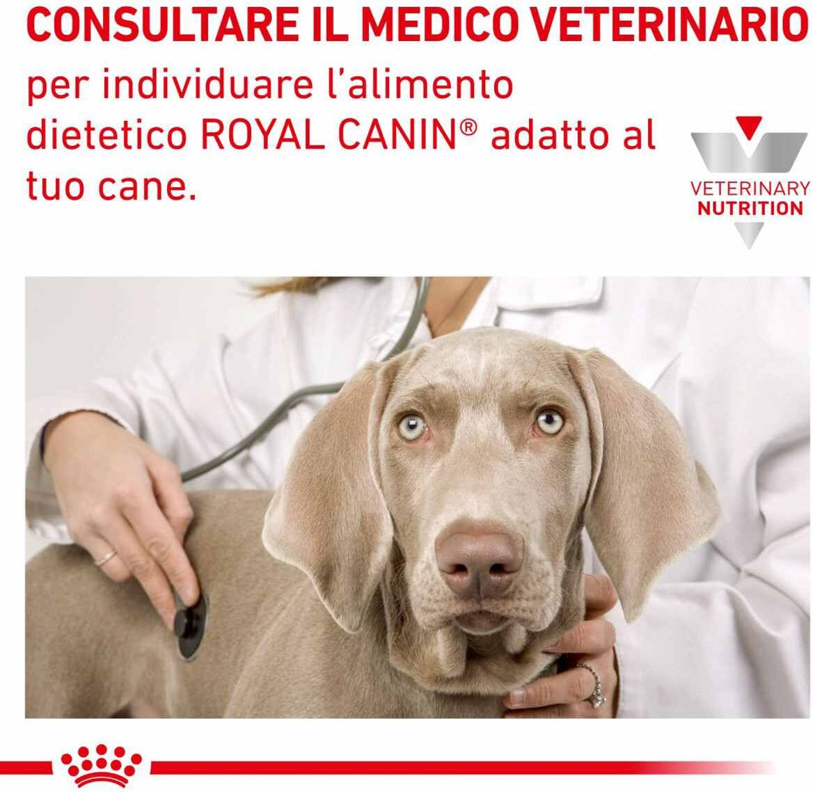 Royal Canin V-Diet Puppy Hypoallergenic 3.5KG