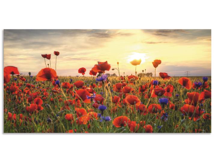 Wandbild ARTLAND Mohnblumen , rot (farbe bild(er): rot), B:100cm H:50cm, Bilder, Wandbild, als Alubild, Leinwandbild, Poster in verschied. Grössen