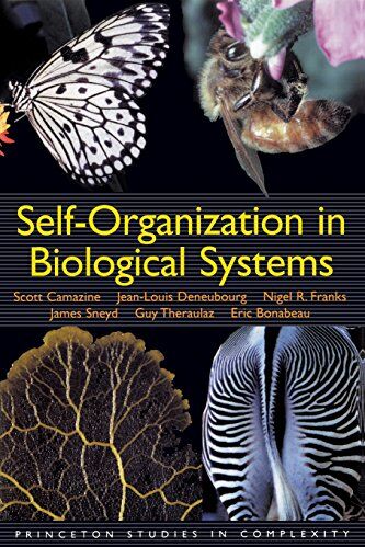 Scott Camazine - Self-Organization in Biological Systems (Princeton Studies in Complexity) - Preis vom 30.09.2026 09:01:18 h