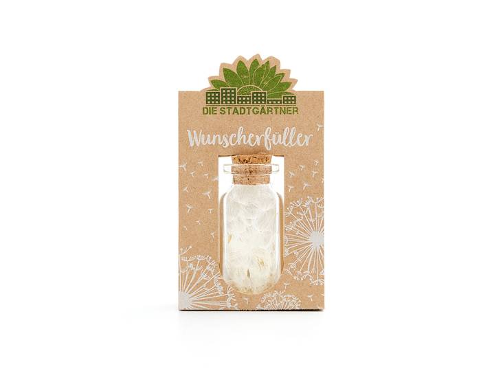Wunscherfüller Glas mit Korkverschluss, natürliche Pusteblume im Glas, mittel