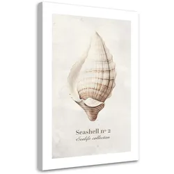 WANDBILD muschel auf natürlichem hintergrund