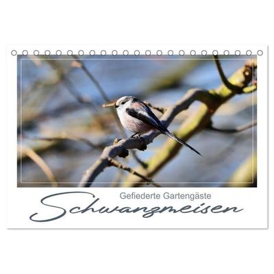 Gefiederte Gartengäste, Schwanzmeisen (Tischkalender 2027 DIN A5 quer), CALVENDO Monatskalender