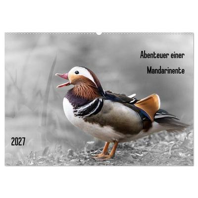 Abenteuer einer Mandarinente (Wandkalender 2027 DIN A2 quer), CALVENDO Monatskalender