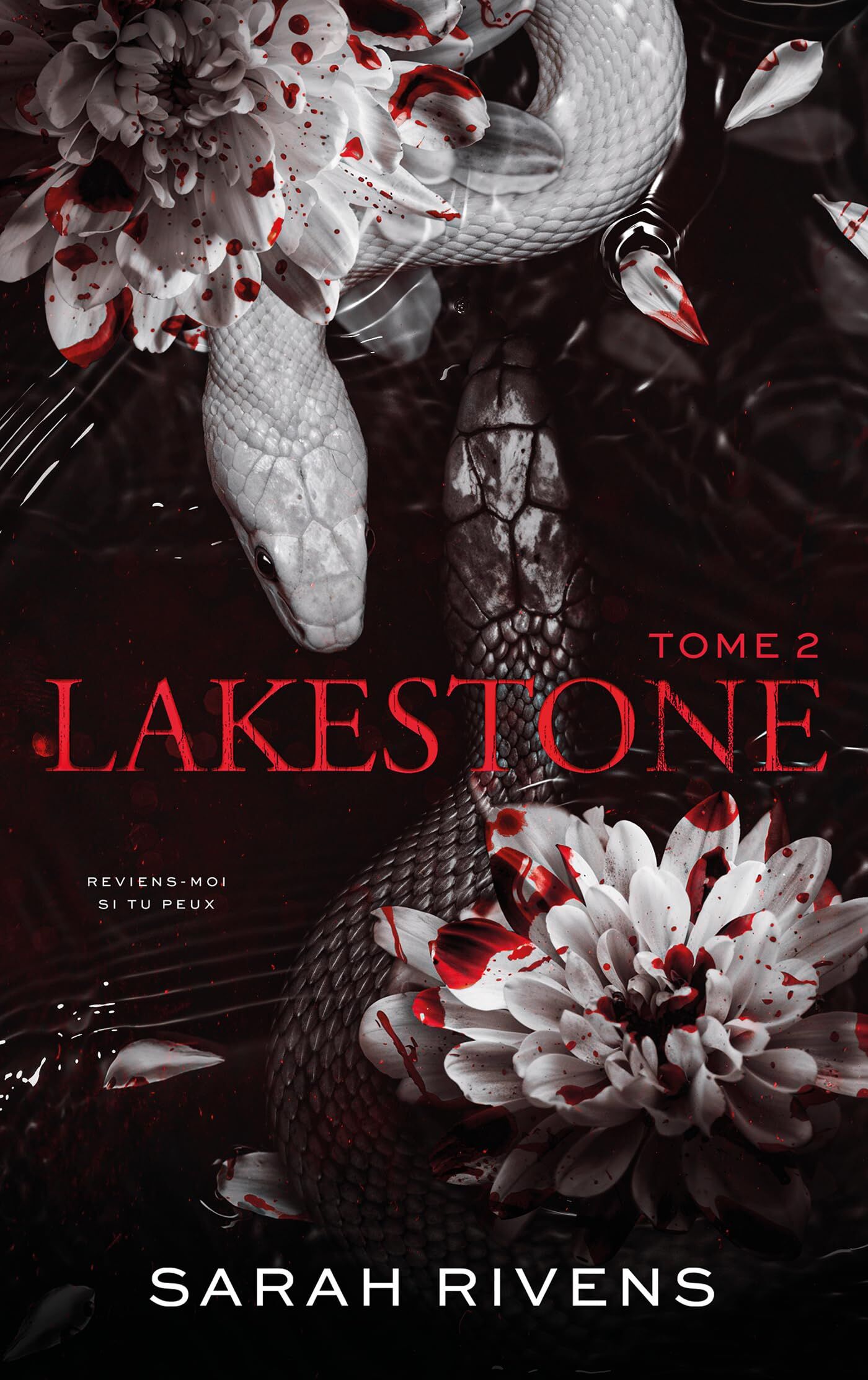 Sarah Rivens - Lakestone. Vol. 2 - Preis vom 13.10.2026 11:25:28 h
