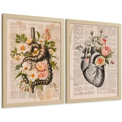 POSTER Set aus 2 Anatomie Mensch Drucke und Wandbilder mit Verdauungssystem Darm und Herz Klassisches Florales Design Größe Leichter Holzrahmen A4
