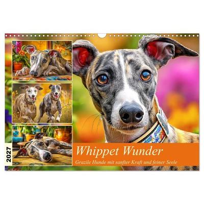 Whippet Wunder. Grazile Hunde mit sanfter Kraft und feiner Seele (Wandkalender 2027 DIN A3 quer), CALVENDO Monatskalender
