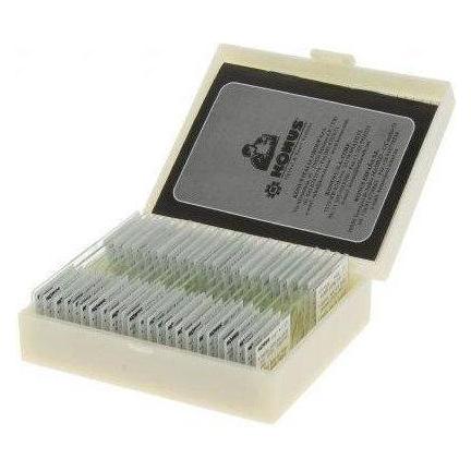 Konus Preparate Set Reproduction Of Plants (10 Stk.) (Plant reproduction and propagation (10 slides))