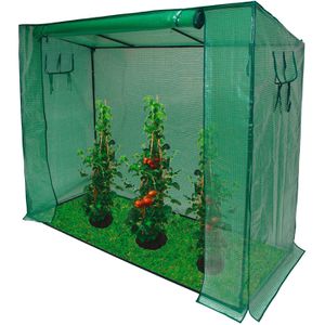 DEMA Gewächshaus 40985, 1,6 m² Fläche, 200 x 80 x 170 cm, Folie, mit Fenstern
