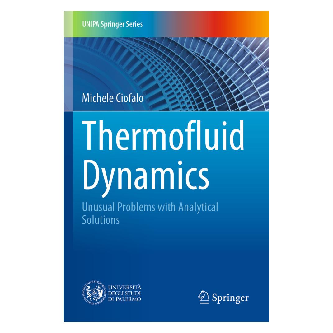 Springer Thermofluid Dynamics (Englisch, Softcover, Michele Ciofalo) (57070126)