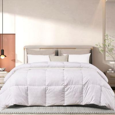 Blue Ridge Home Fashions, Inc. Beautyrest Feather Down Comforter, Twin, White
