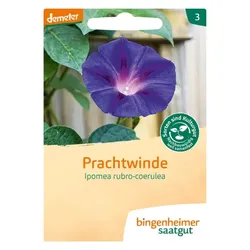 Bingenheimer Saatgut Prachtwinde demeter