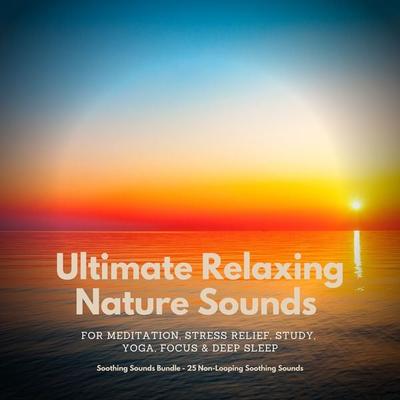 Ultimate Relaxing Nature Sounds for Meditation, Stress Relief, Study, Yoga, Focus & Deep Sleep - Jeffrey Thiers, Audio, 4064066896201