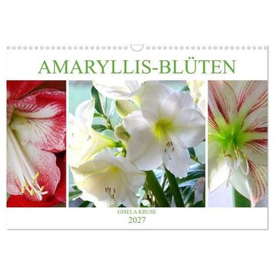 Amaryllis-Blüten (Wandkalender 2027 DIN A3 quer), CALVENDO Monatskalender