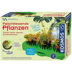 Kosmos Venus Flytrap