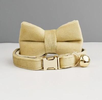 Inspired Finds ElegantPaws Personalized Bowknot Cat Collar With Free Custom Engraving champagne Gold s